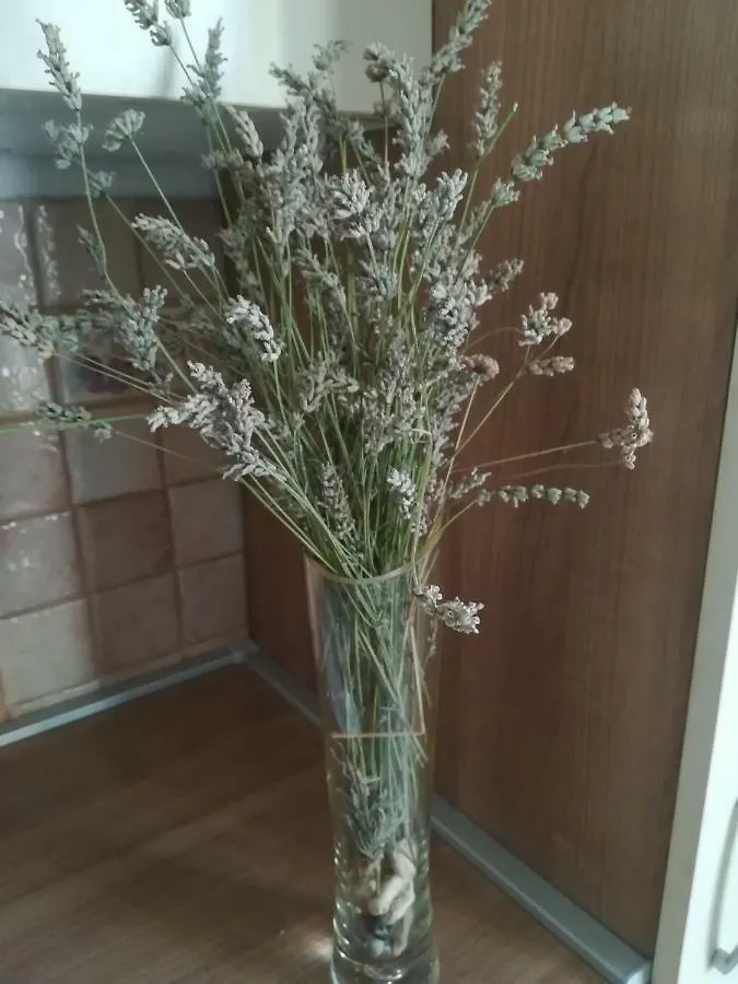 Apartman Nada Kornic